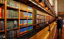 nypl.jpg