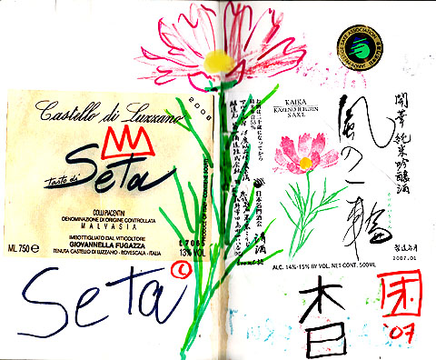 setaflower.jpg