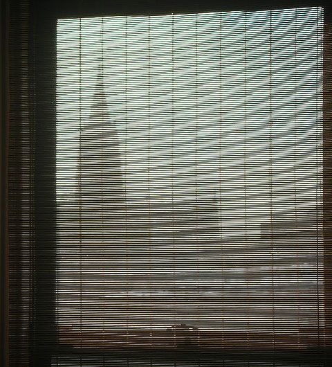windowshade.jpg