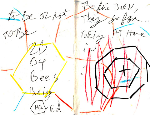 bee2b.jpg