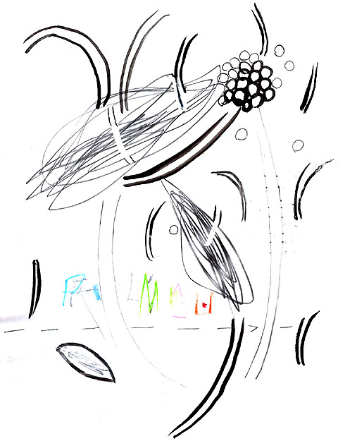 floweribs.jpg