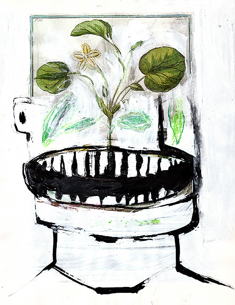 laughleaves.jpg