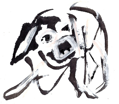 fallingdog.jpg