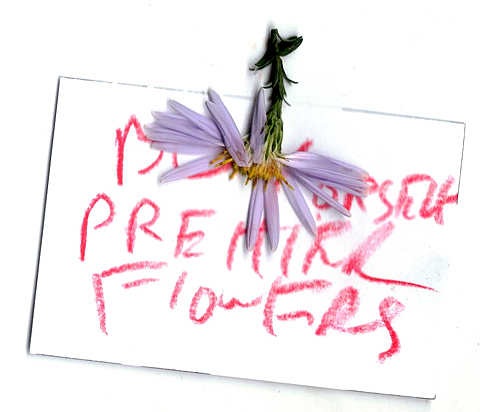 flowers.jpg